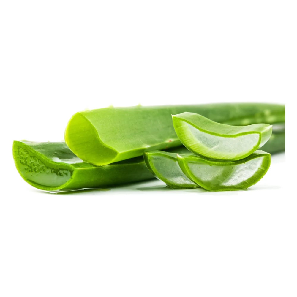Cut aloe vera leaf and fresh aloe slices on a white background